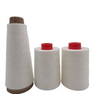 100% PVA Water Soluble Thread 20/2 40/2 High Temperature Resistant Low Shrinkage Sewing Machine Thread