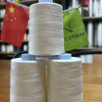 High Temperature Resistant Low Shrinkage Multi Colors Water Soluble Thread PVA Soluble Thread for Garment and Embroidery